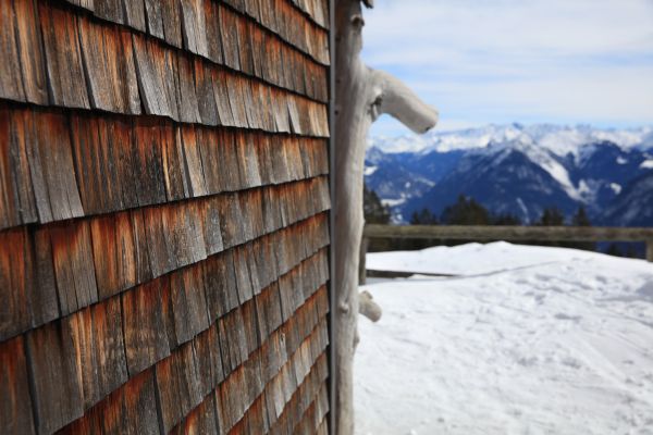 Cedar Siding Repair in Kingwood