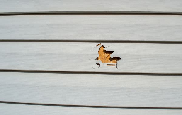 Siding Hole Patching in Kingwood
